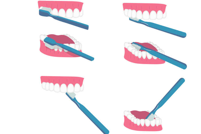 5 Técnicas De Cepillado Para Mantener La Higiene Dental