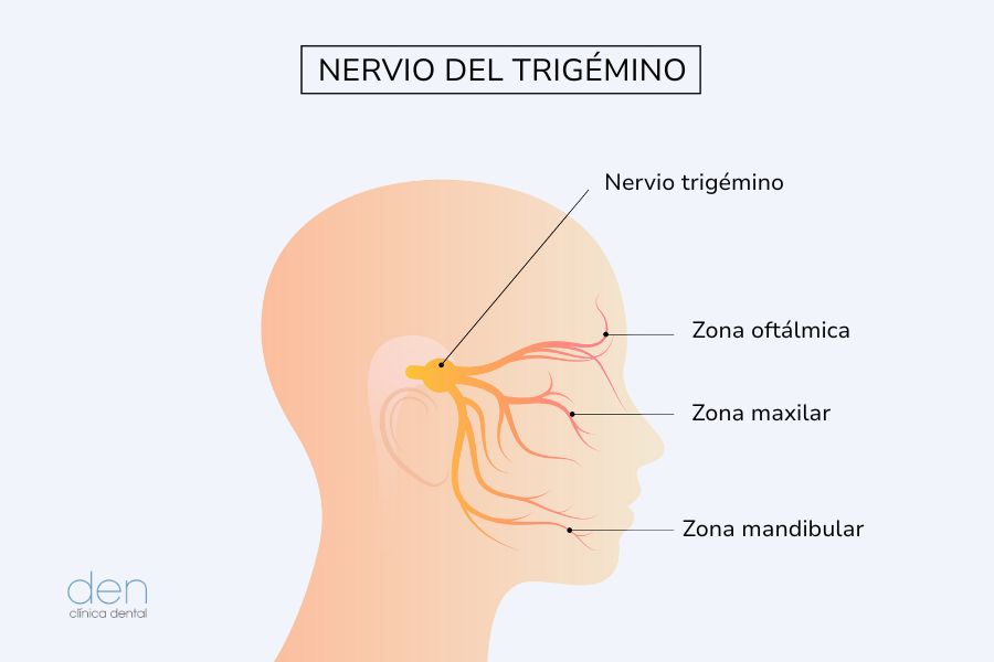 Nervio trigémino
